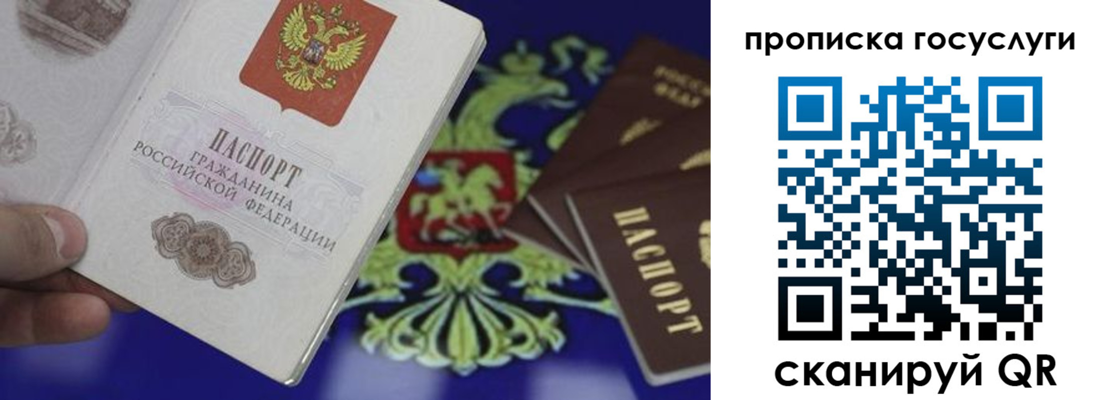 прописка для школы в Мирном